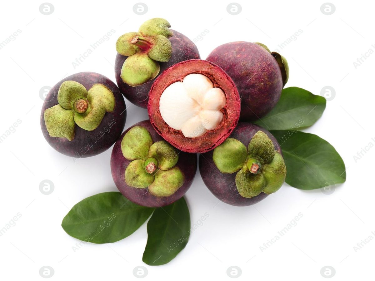 Frisch Mangostan