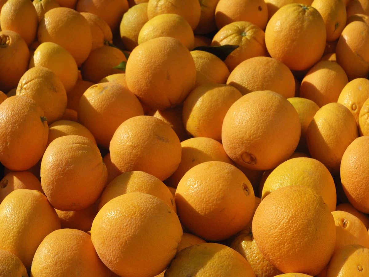 Fresco Navel Naranjas