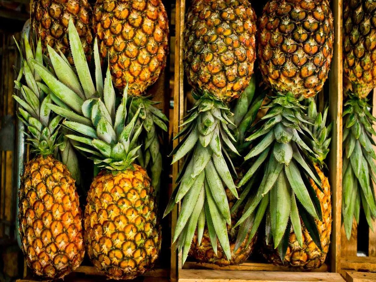 Fresh Pineapple