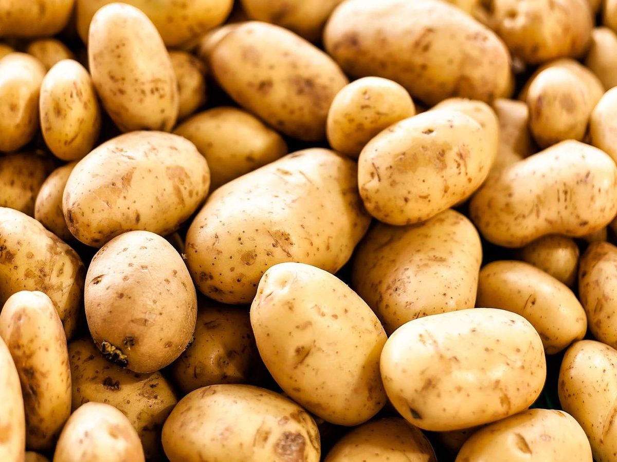Fresh Potatoes / Sweet Potato