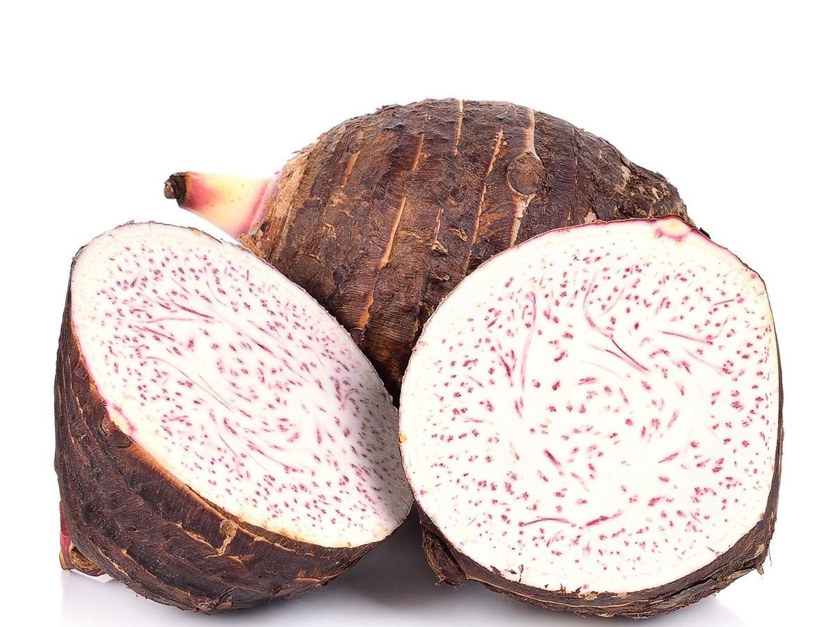 Fresco Taro