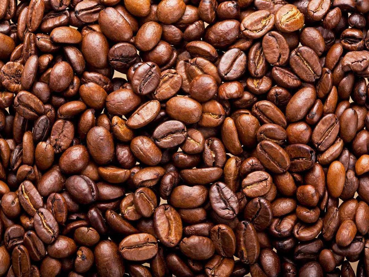 Arabica Kawa Fasola