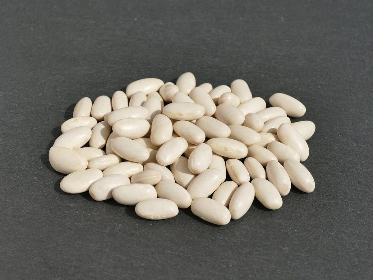 Cannellini Frijoles