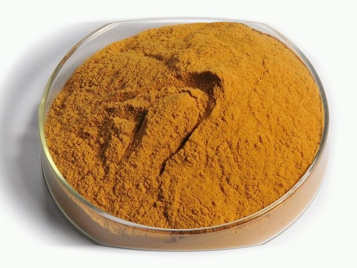 Mais Gluten Schrot 60% Protein