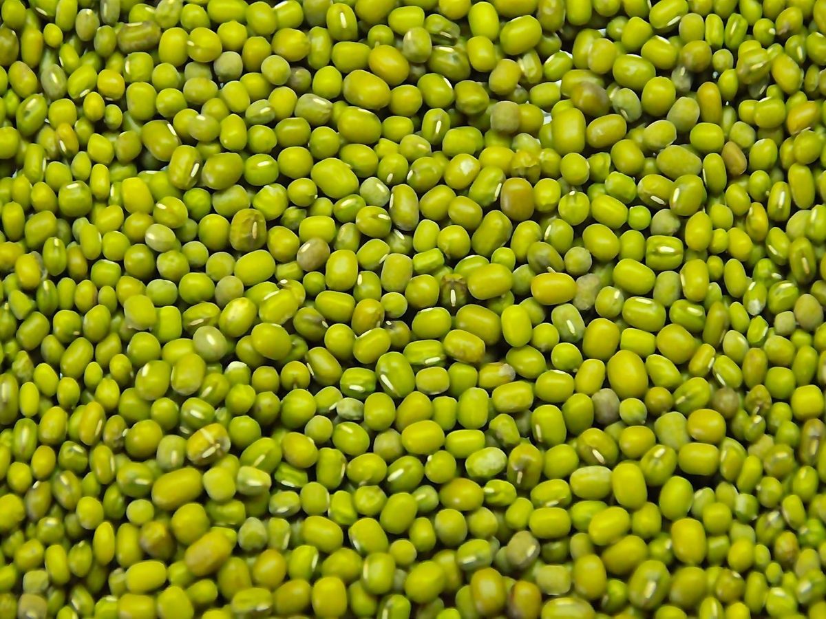 Green Mung Beans