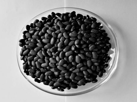 Schwarz Kidney Bohnen