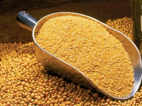 Soybean Meal