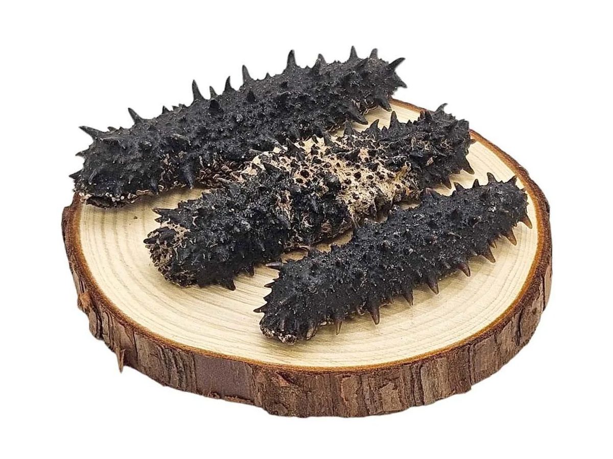 Dried Sea Cucumber