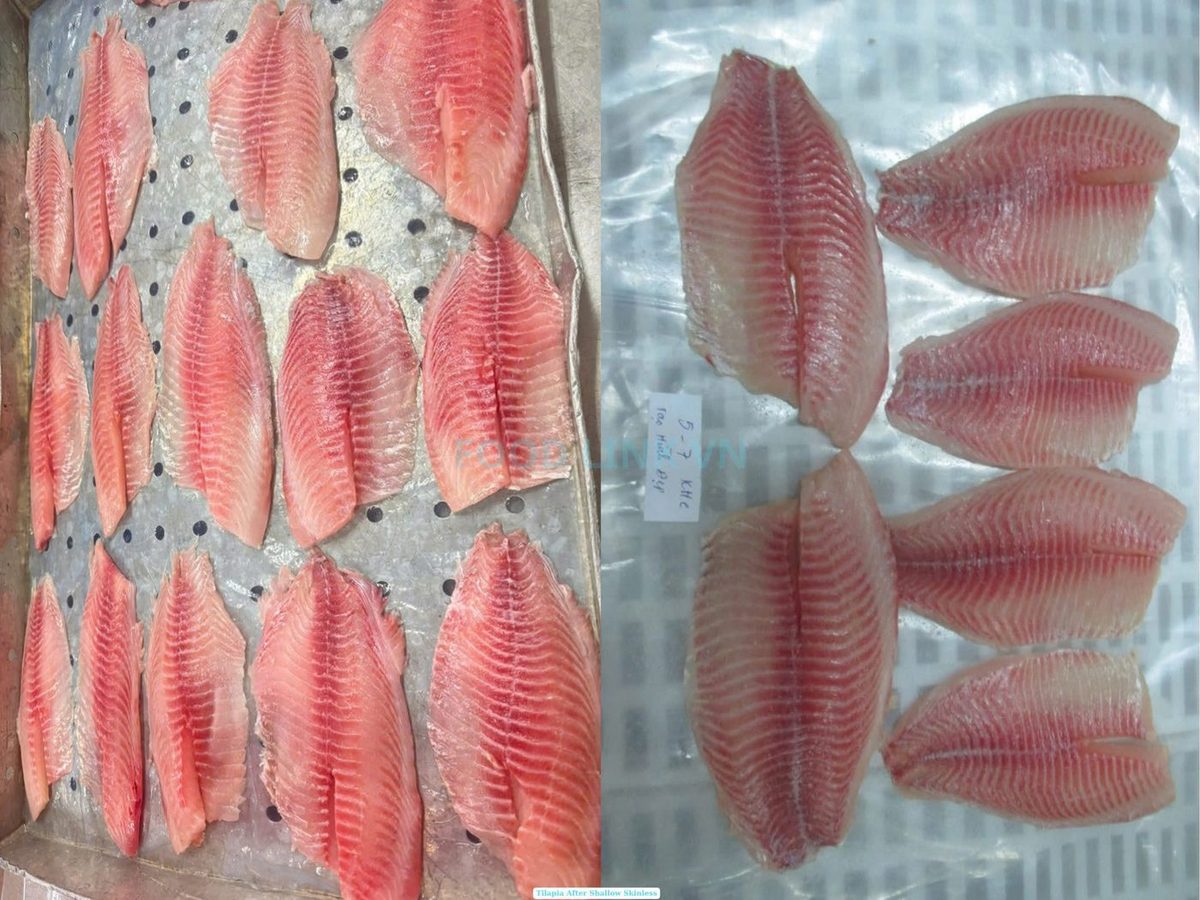 Tilapia Filet