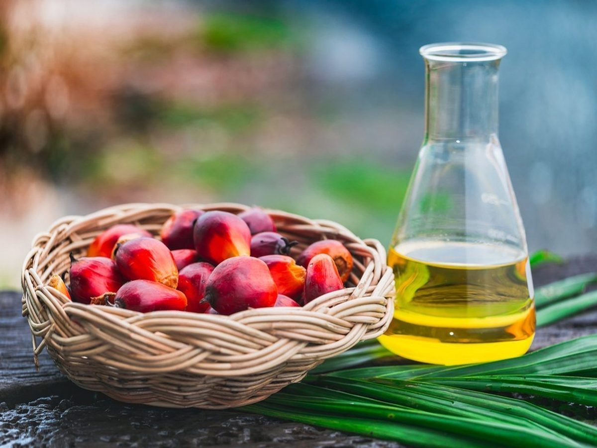 Refinado De palma Aceite